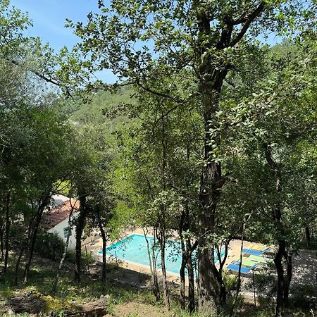 Maison Avec Piscine Chauffee Entre Mer Et Montagne Montauriol  Eksteriør billede