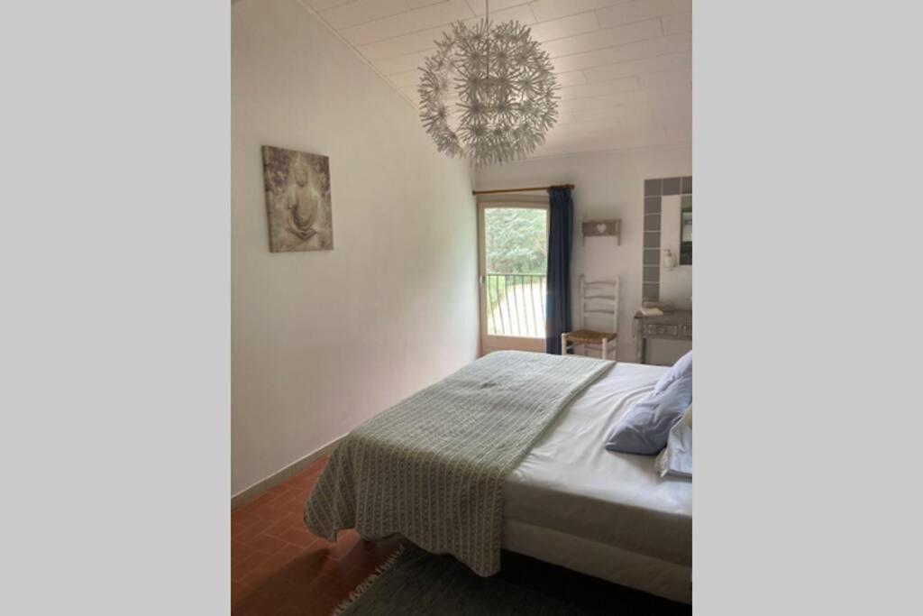 Maison Avec Piscine Chauffee Entre Mer Et Montagne Montauriol  Eksteriør billede