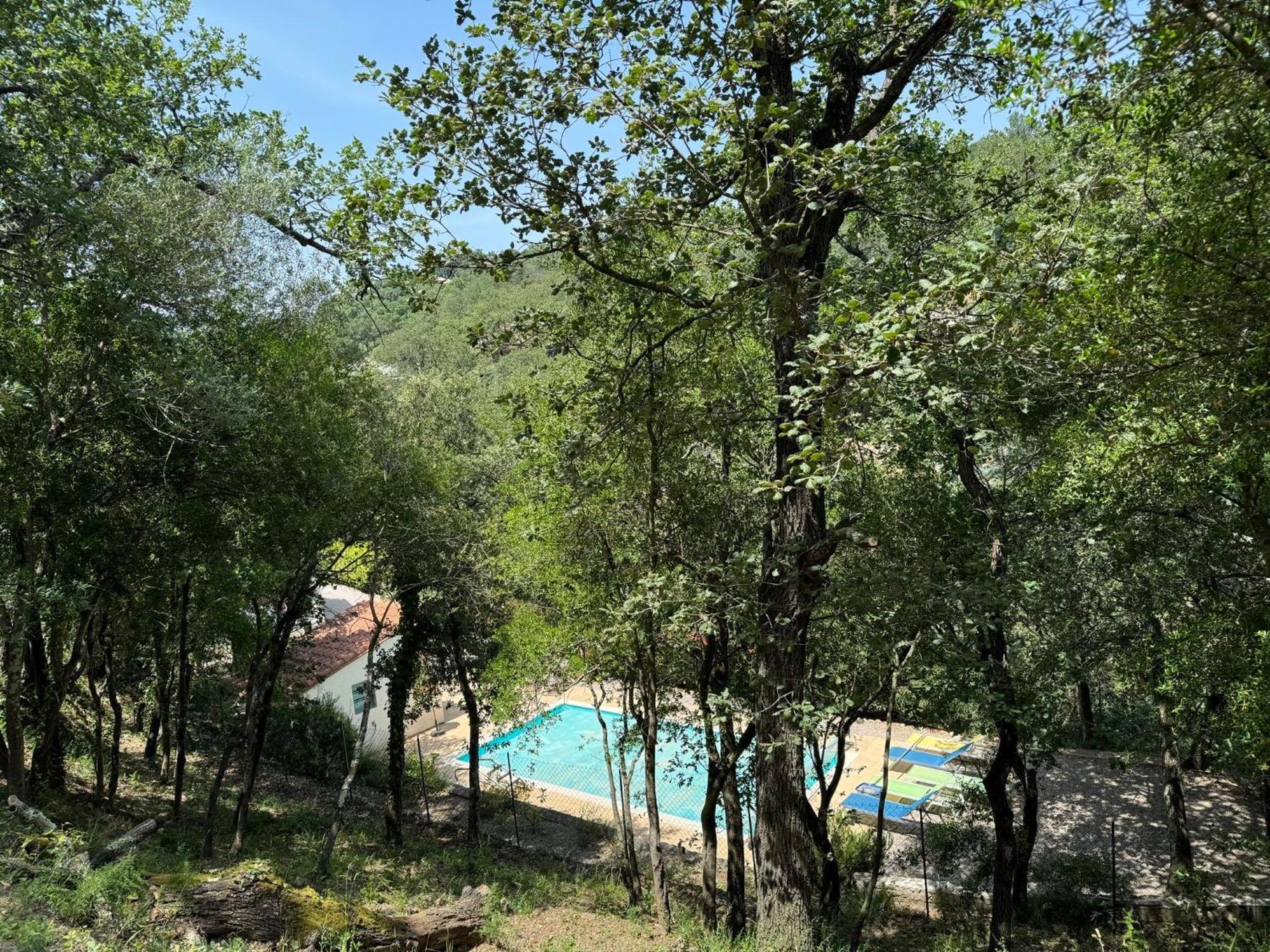 Maison Avec Piscine Chauffee Entre Mer Et Montagne Montauriol  Eksteriør billede